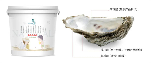 會呼吸的墻面——貝殼粉呼吸功效的優點